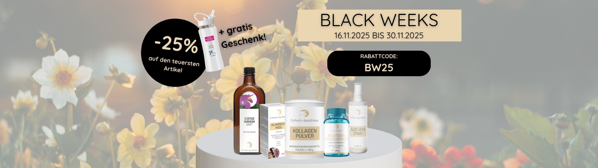 Website Banner Desktop