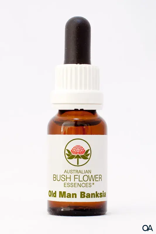 AUB Old Man Banksia Australische Buschblüten Tropfen