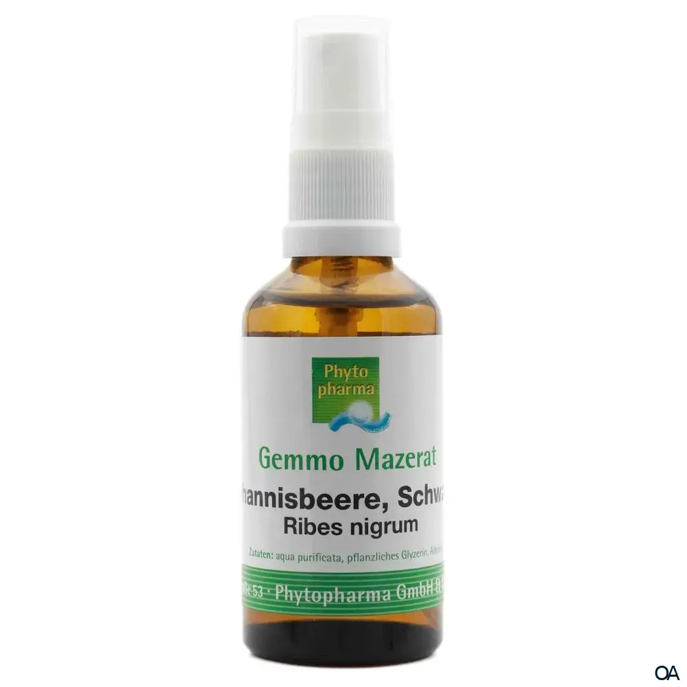 Phytopharma Gemmo Mazerat Schwarze Johannisbeere Spray Phytopharma Gemmo Mazerat Schwarze Johannisbeere Spray