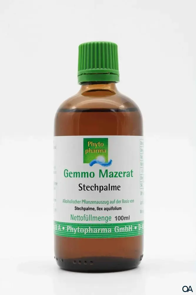 Phytopharma Gemmo Mazerat Stechpalme Tropfen