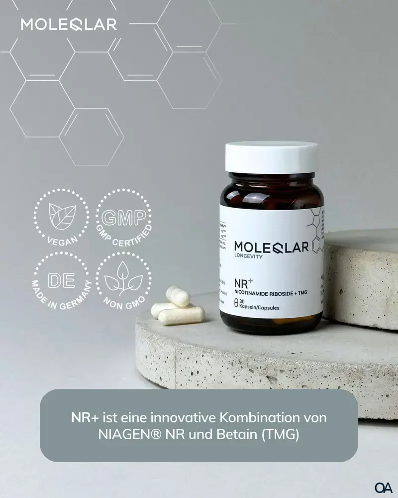 MoleQlar Longevity NR+ (Nicotinamid Ribosid + TMG) Kapseln MoleQlar Longevity NR+ (Nicotinamid Ribosid + TMG) Kapseln