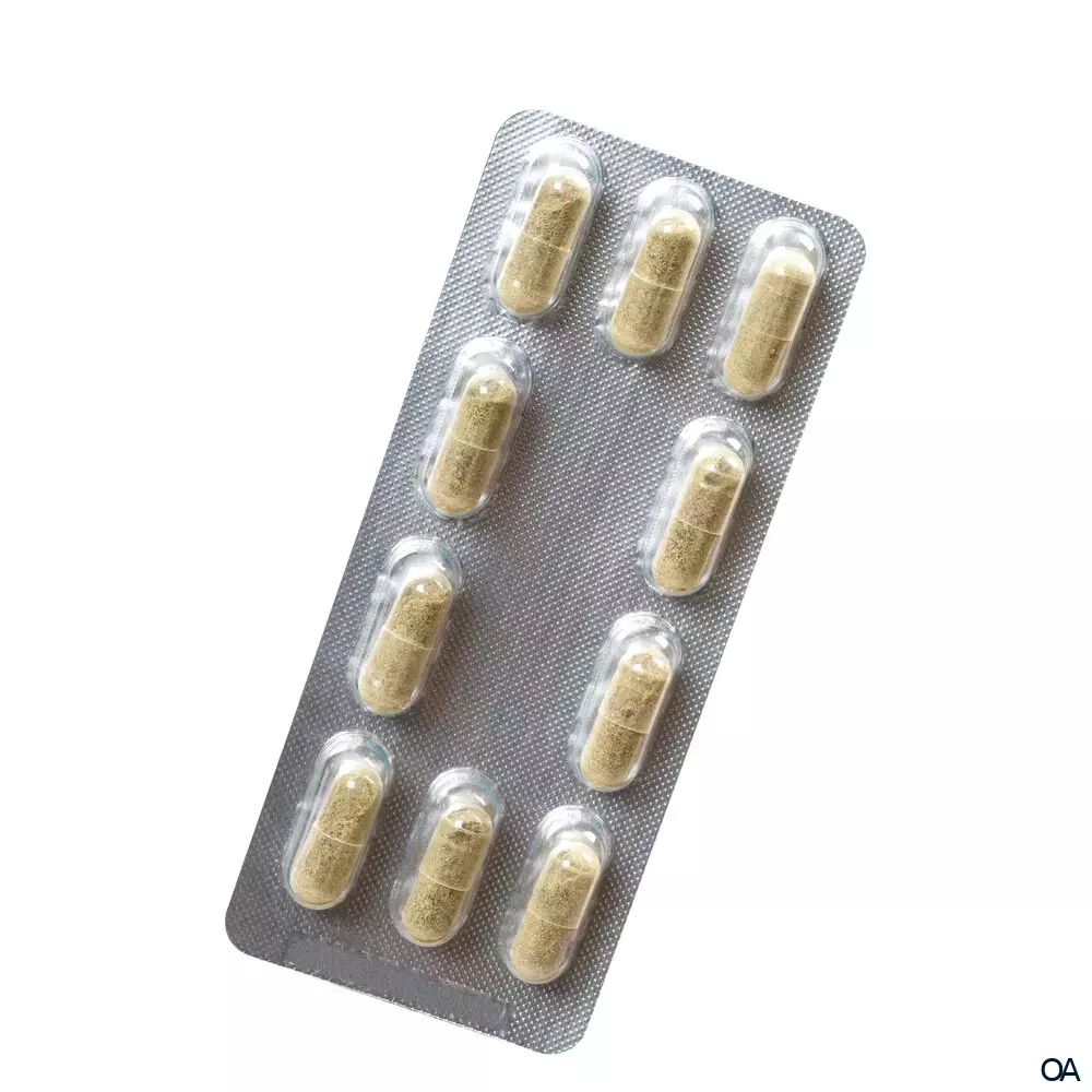 Salus® Freetox® Gerstengras-Birke Kapseln Salus® Freetox® Gerstengras-Birke Kapseln