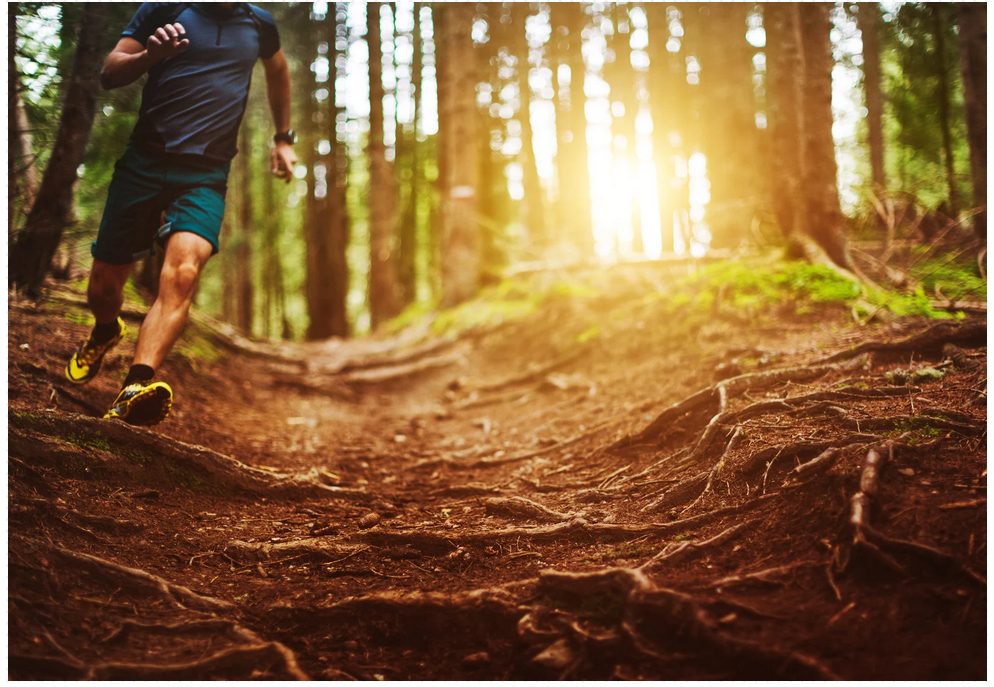 Screenshot 2025-11-12 101024