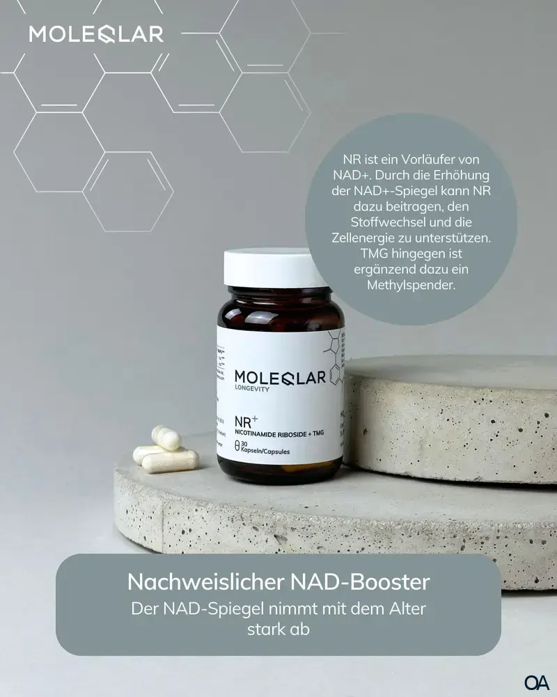 MoleQlar Longevity NR+ (Nicotinamid Ribosid + TMG) Kapseln