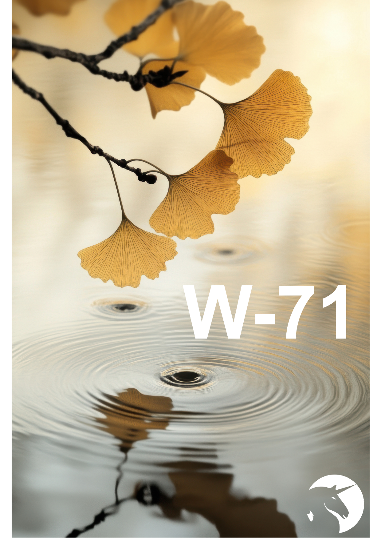 WEIDINGER MISCHUNG NR 71