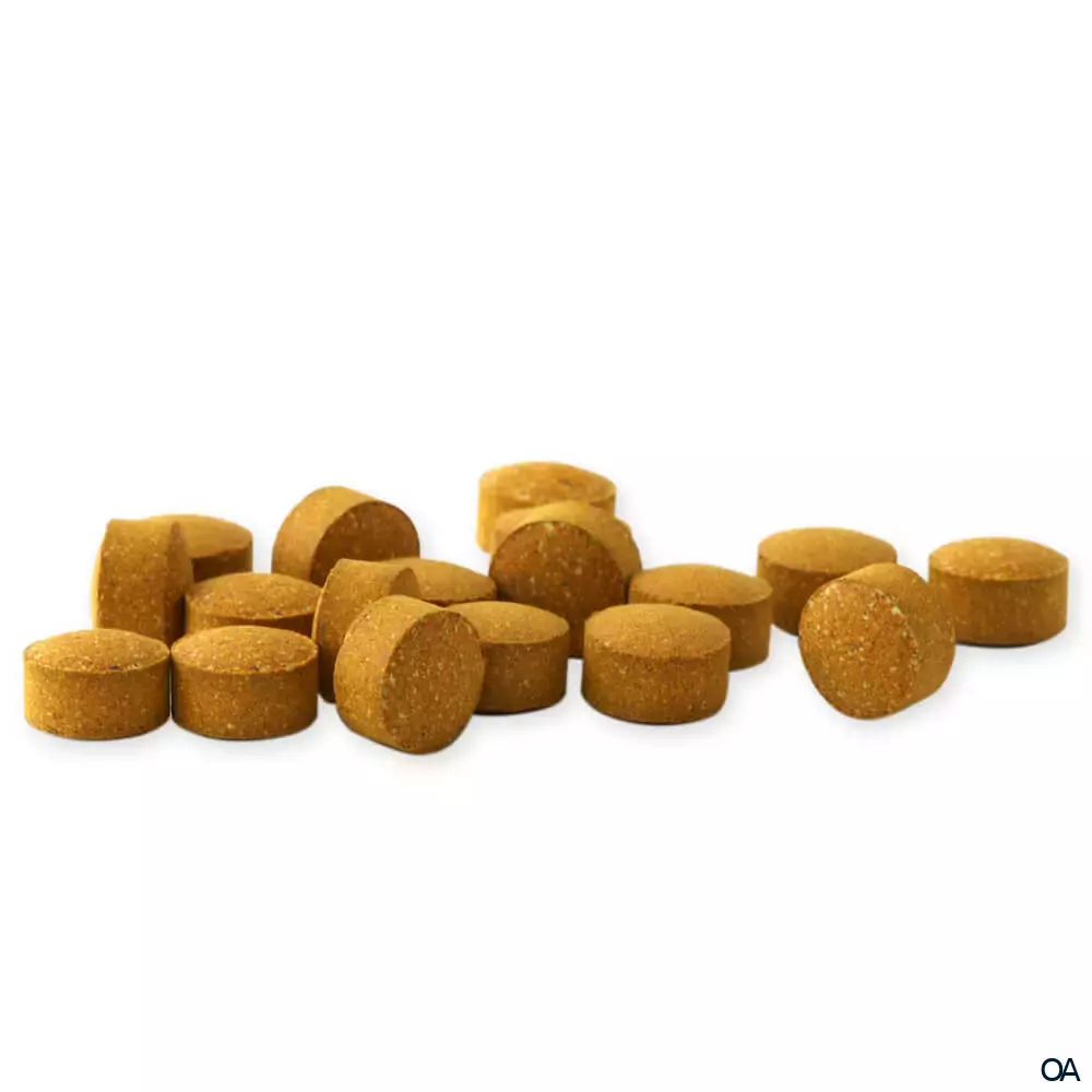 Raab® Vitalfood Bio Curcuma Tabletten Raab® Vitalfood Bio Curcuma Tabletten