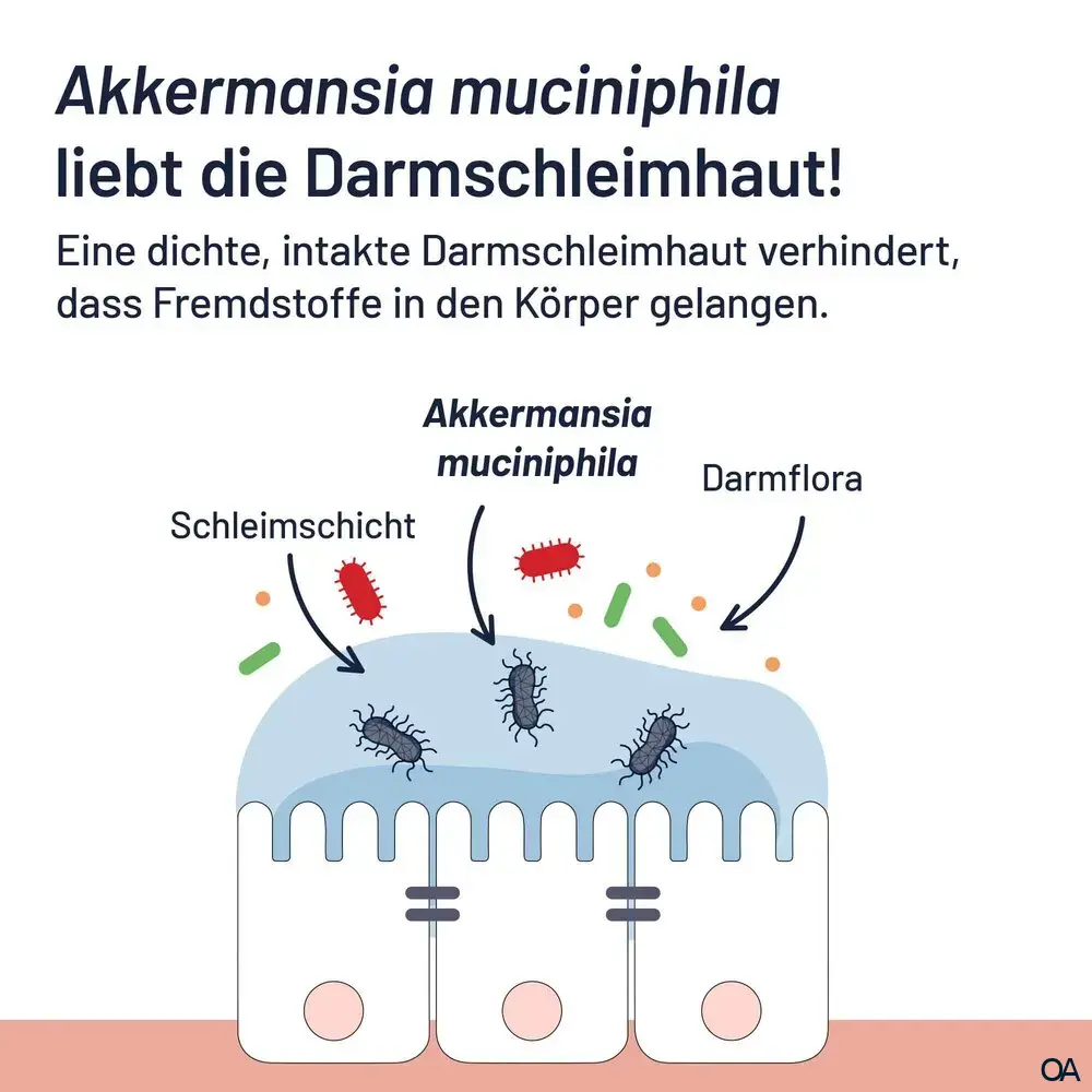 ProBio-Cult® AKK1 Tabletten