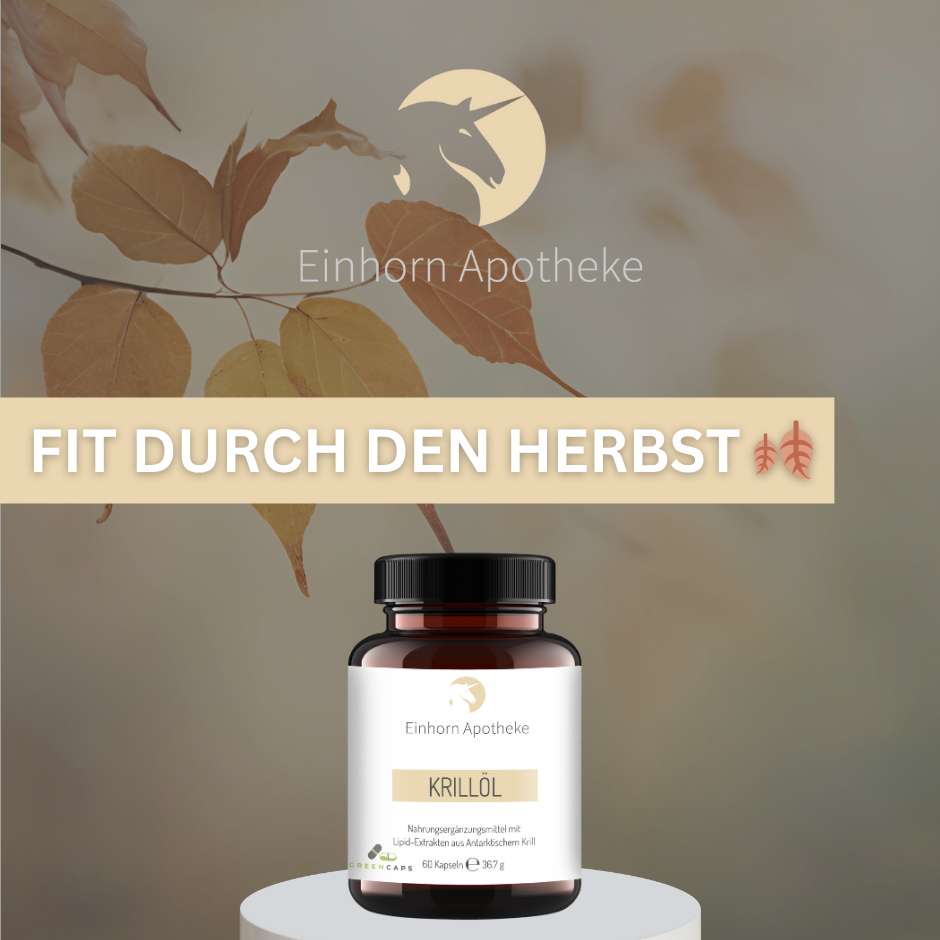 fit durch den Herbst EIN