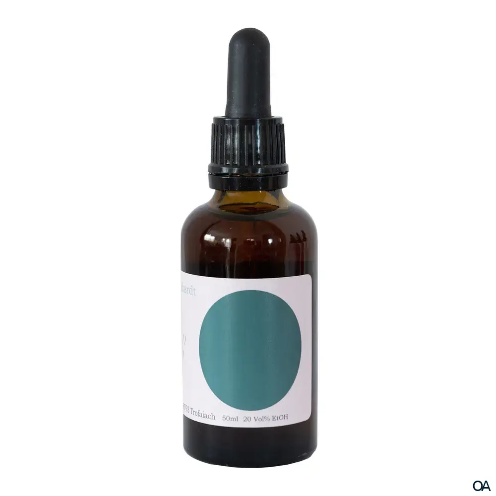 K.M. Burkhardt Elixier „Feel Clean“ Tropfen K.M. Burkhardt Elixier „Feel Clean“ Tropfen