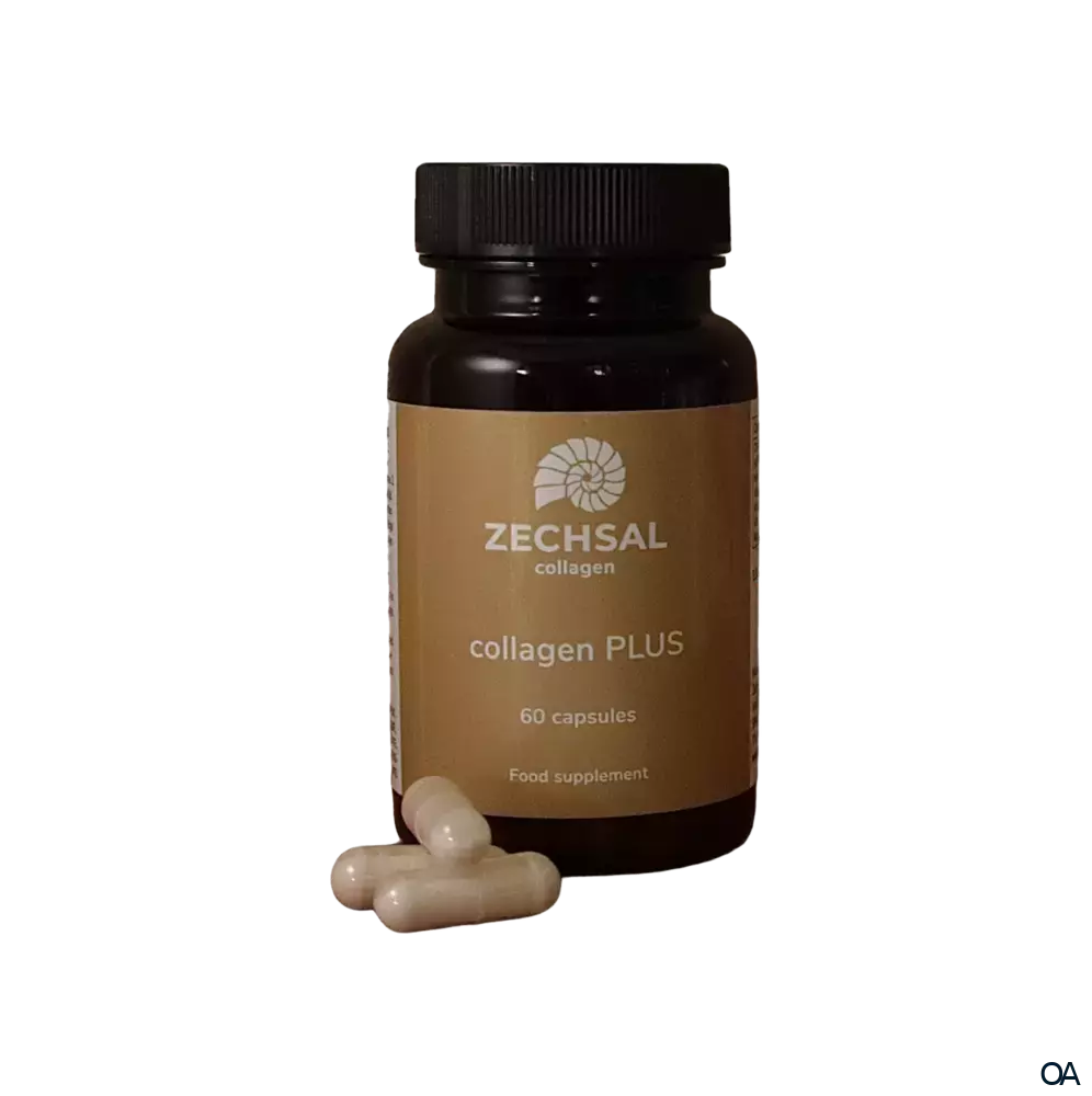 Zechsal Kollagen PLUS Kapseln Zechsal Kollagen PLUS Kapseln