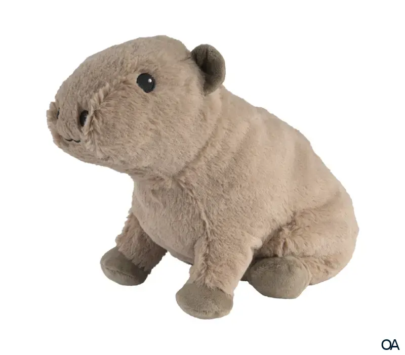 Warmies Capybara Wärmestofftier