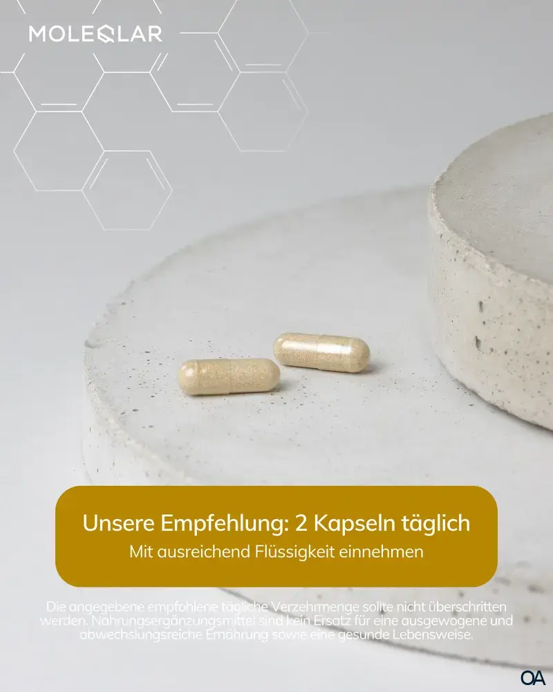 MoleQlar Longevity regeNAD (NAD Booster) Kapseln