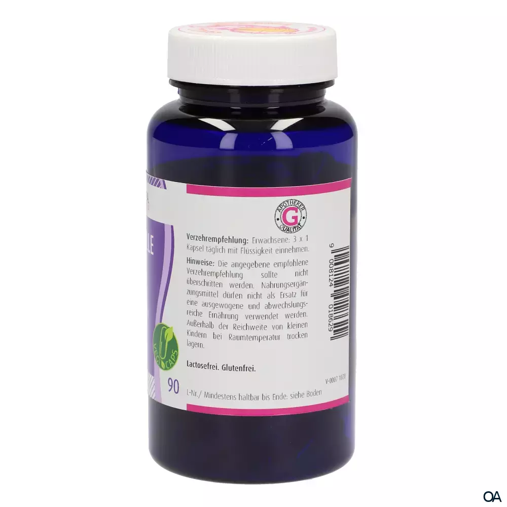 Gall Pharma Leber-Galle Fit Kapseln