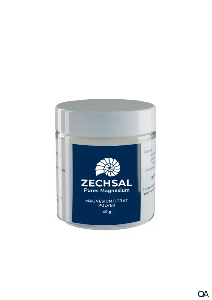 ZECHSAL Magnesiumcitrat Pulver ZECHSAL Magnesiumcitrat Pulver