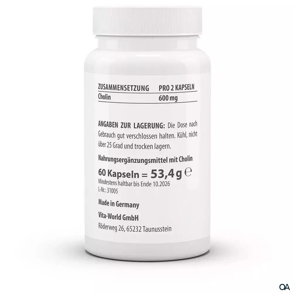 Vitaworld Cholin 600 mg Kapseln