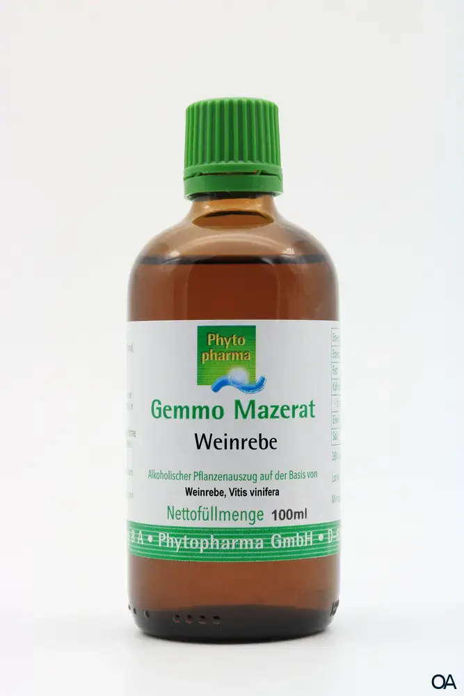 Phytopharma Gemmo Mazerat Weinrebe Tropfen