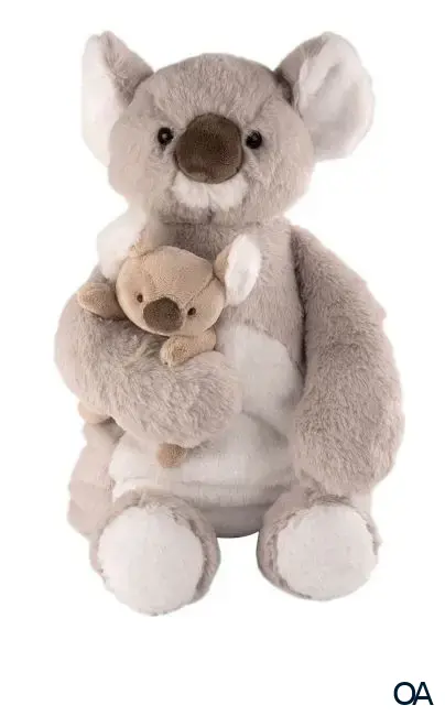 Sänger Kuschelfamilie Wärmflasche Koala Jess & Baby Jessie - 0,8L