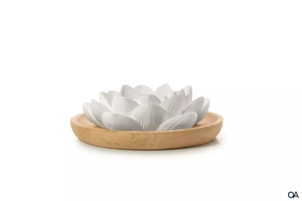 Primavera Aroma Duftstein Lotusblüte Primavera Aroma Duftstein Lotusblüte