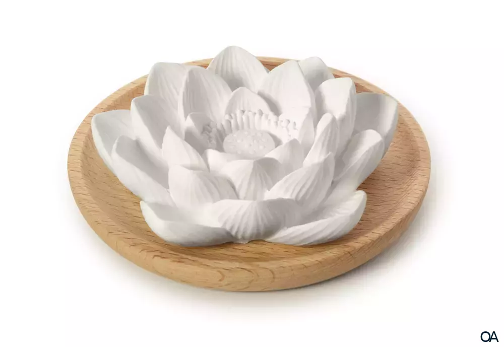 Primavera Aroma Duftstein Lotusblüte Primavera Aroma Duftstein Lotusblüte