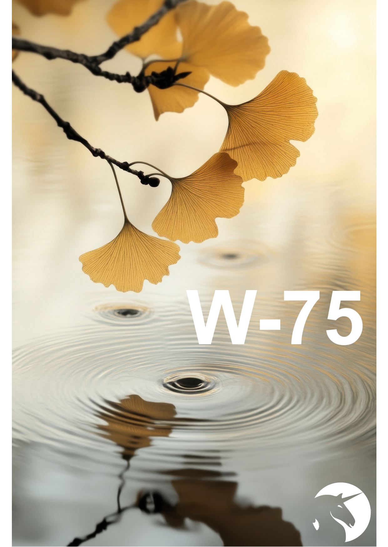 WEIDINGER MISCHUNG NR 75  - Kopfdruck weg!