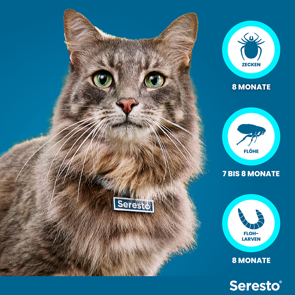 Seresto Halsband für Katzen gegen Zecken und Flöhe
