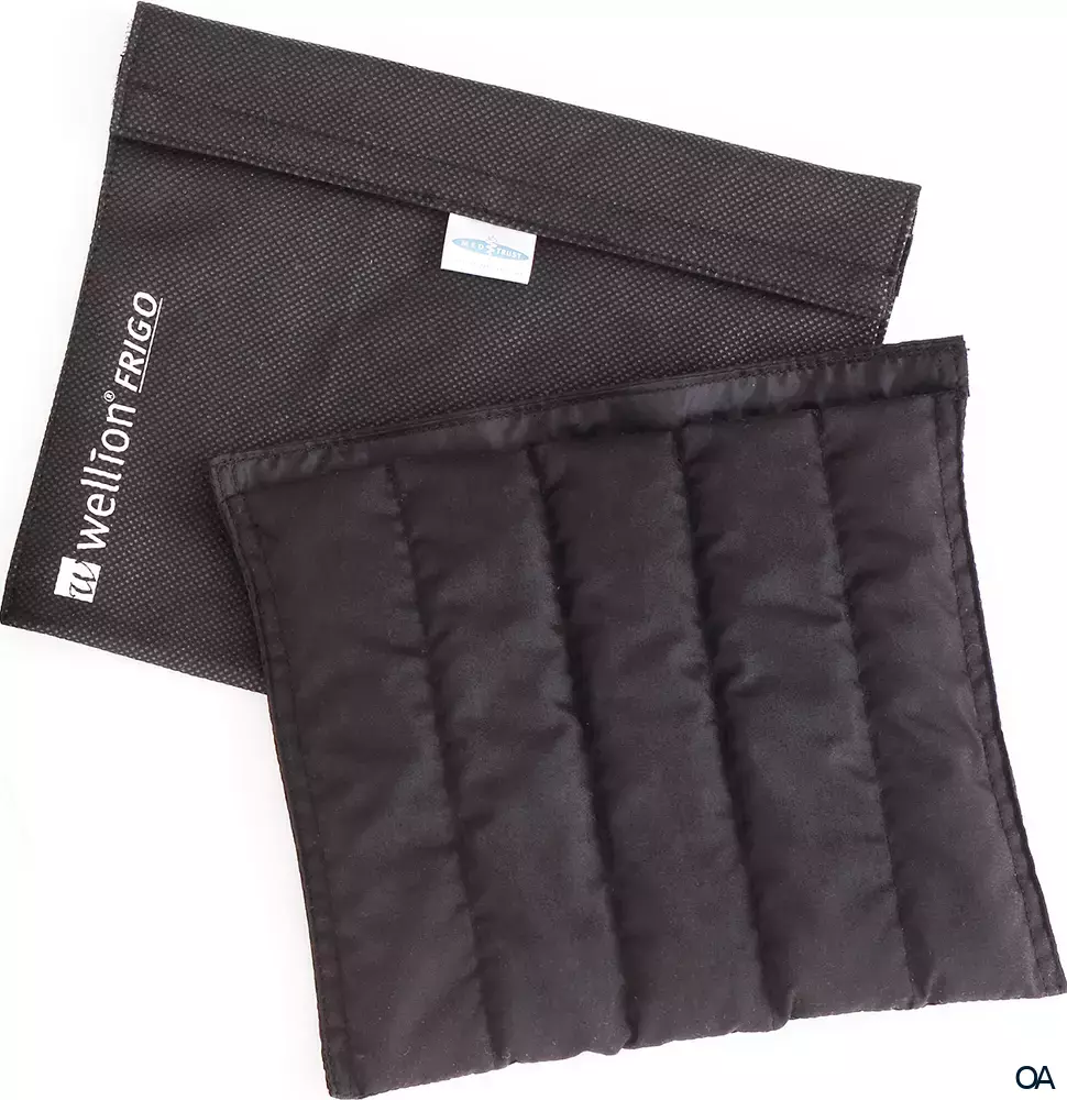 Wellion® FRIGO Kühltaschen Größe XXL Wellion® FRIGO Kühltaschen Größe XXL