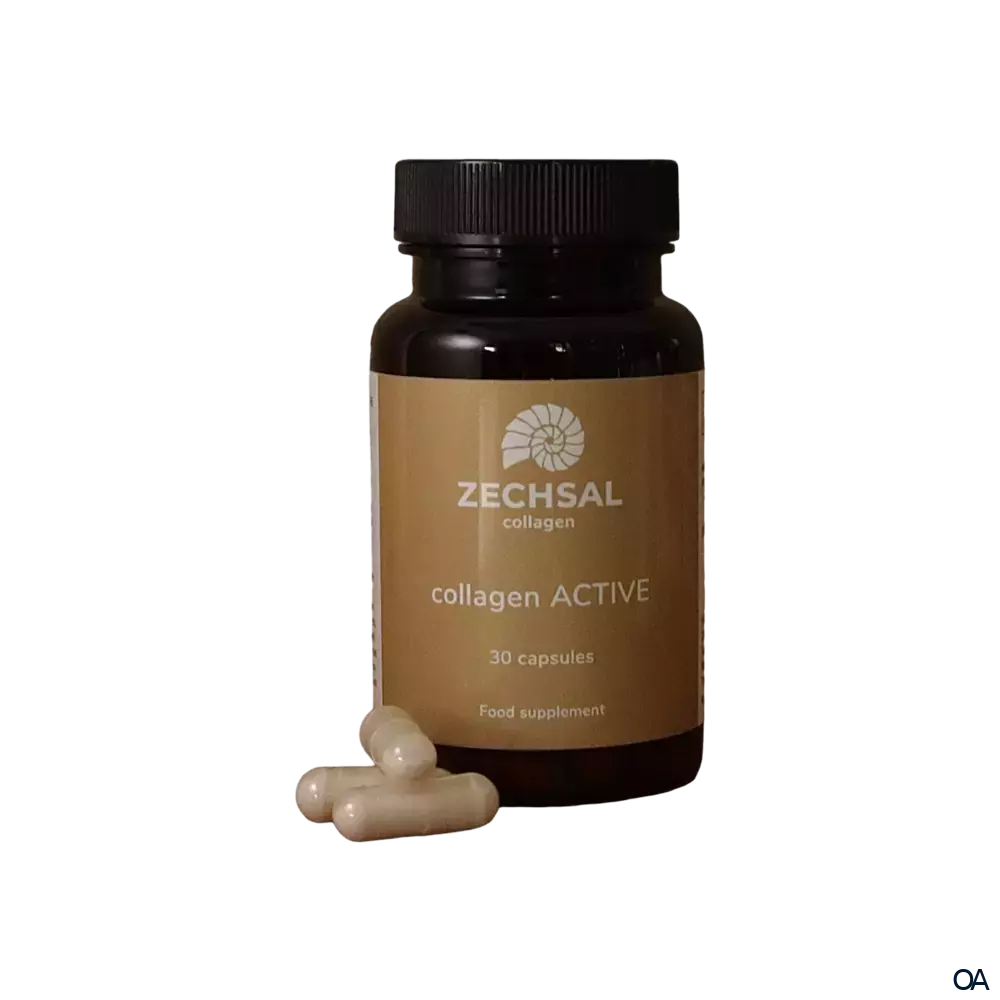 Zechsal Kollagen ACTIVE Kapseln Zechsal Kollagen ACTIVE Kapseln