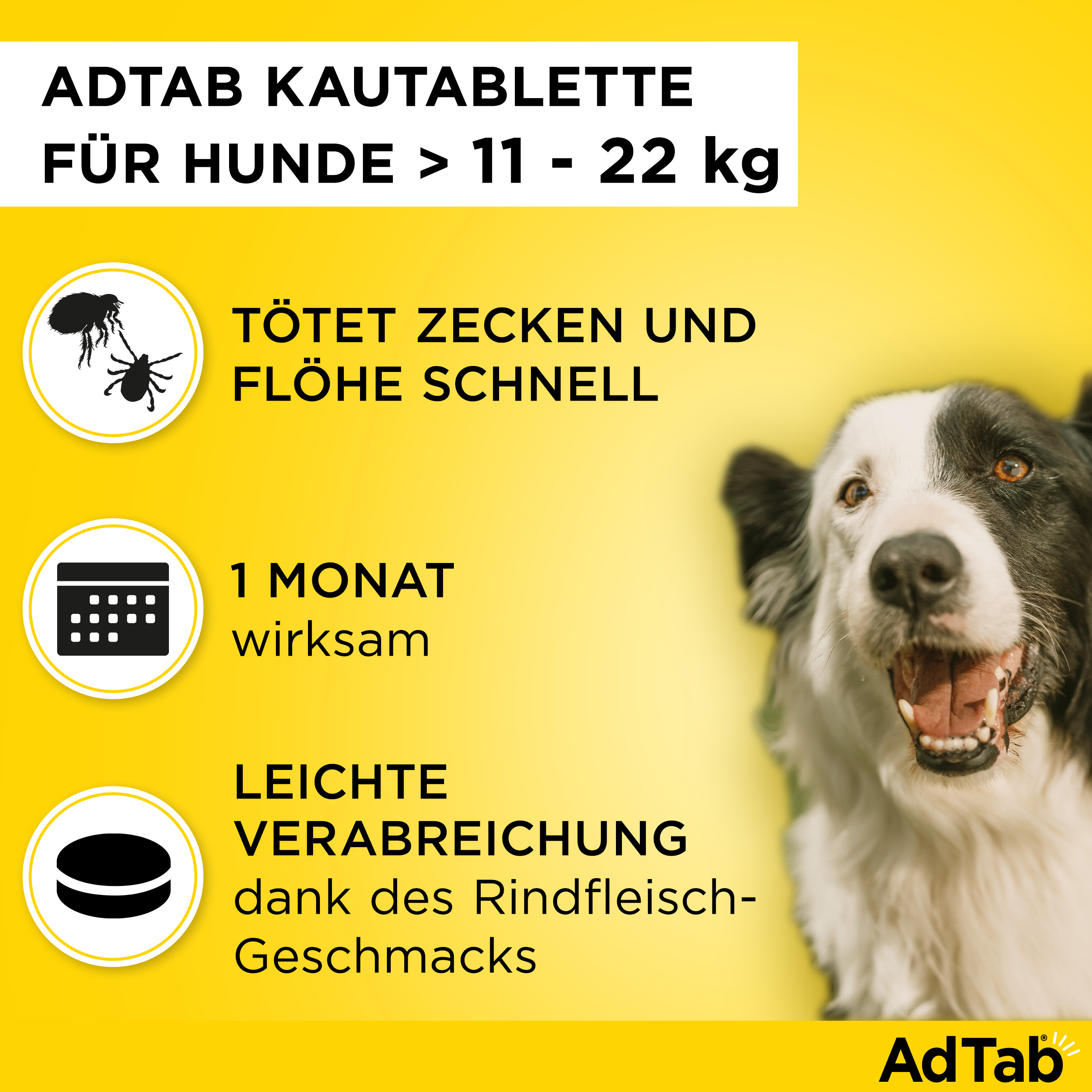 AdTab Kautabletten für Hunde über 11 bis 22 kg gegen Zecken und Flöhe