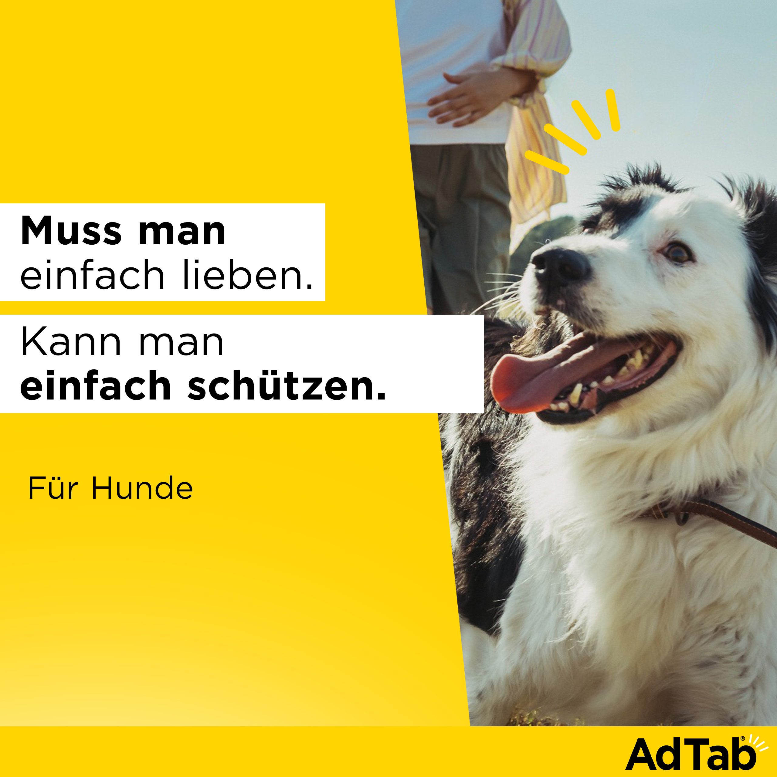 AdTab Kautabletten für Hunde über 11 bis 22 kg gegen Zecken und Flöhe