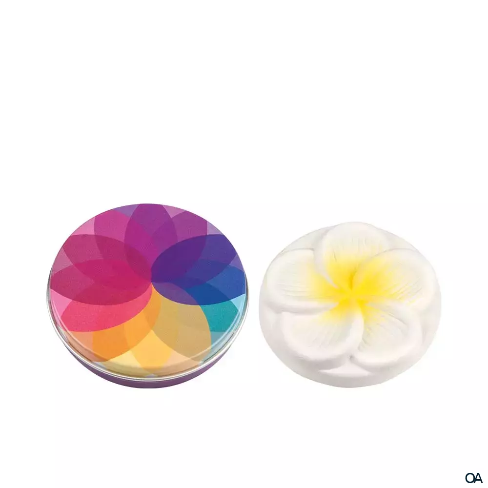 Taoasis Mini Duftstein Frangipani mit Duftsteindose Taoasis Mini Duftstein Frangipani mit Duftsteindose
