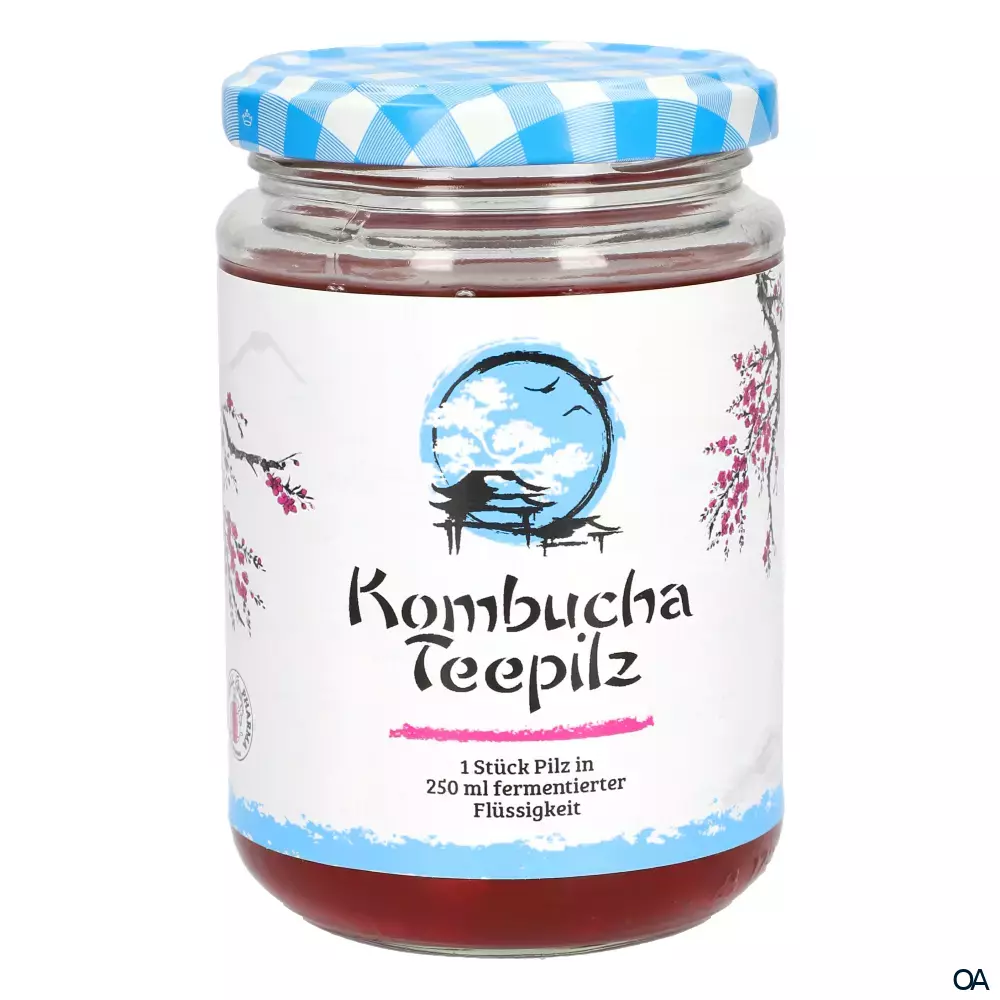 Gall Pharma Kombucha Pilz Gall Pharma Kombucha Pilz
