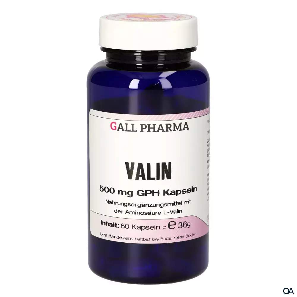 Gall Pharma Valin 500 mg Kapseln