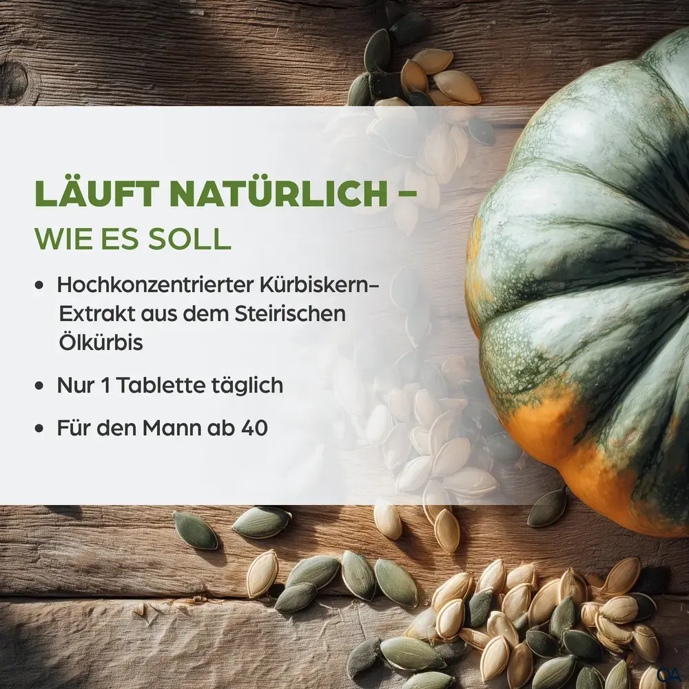 Dr. Böhm® Kürbis nur 1 x täglich Tabletten