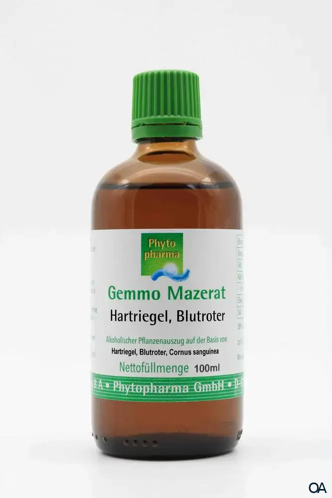 Phytopharma Gemmo Mazerat Blutroter Hartriegel Tropfen