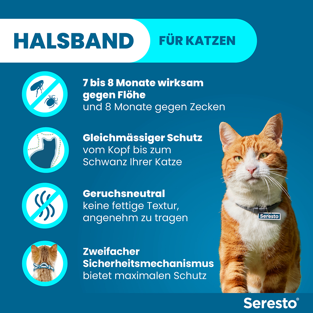 Seresto Halsband für Katzen gegen Zecken und Flöhe