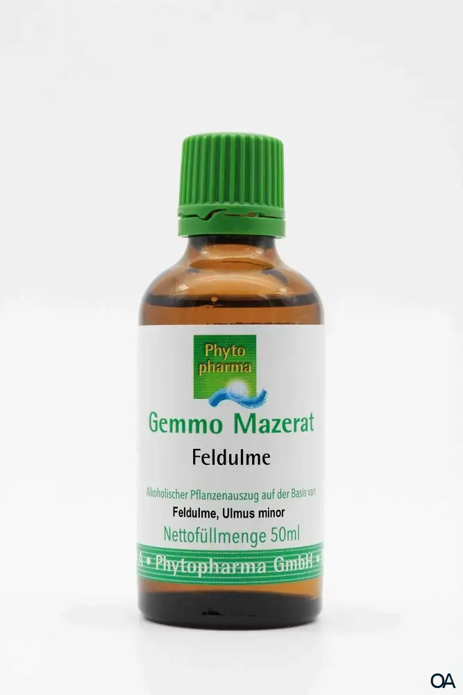 Phytopharma Gemmo Mazerat Feldulme Tropfen Phytopharma Gemmo Mazerat Feldulme Tropfen