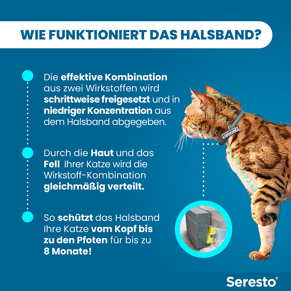 Seresto Halsband für Katzen gegen Zecken und Flöhe