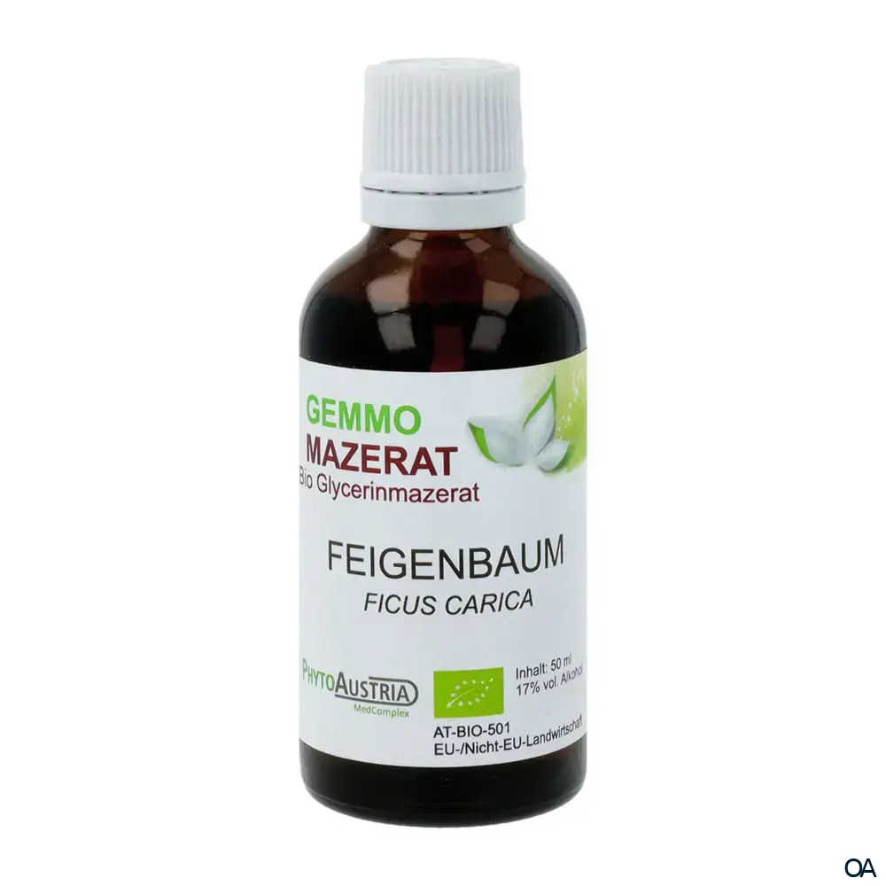 PhytoAustria Bio Gemmo Mazerat Feigenbaum (Ficus Carica) Tropfen