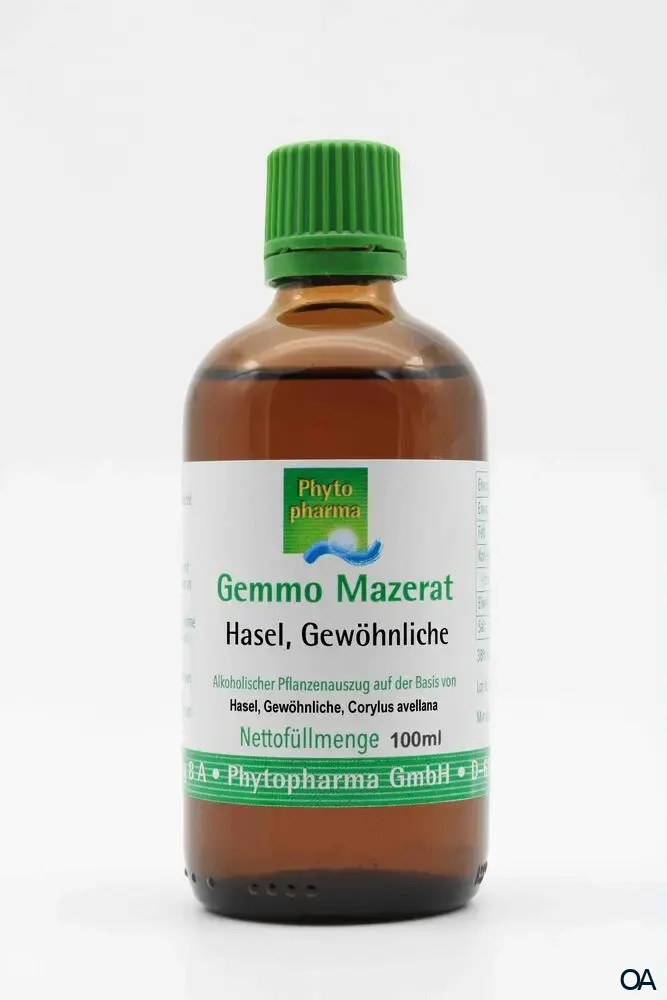Phytopharma Gemmo Mazerat gewöhnliche Hasel Tropfen