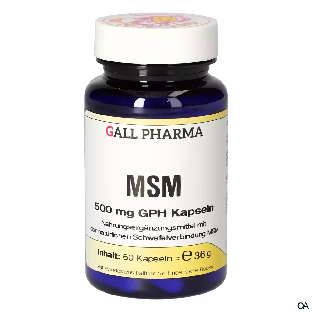 Gall Pharma MSM 500mg Kapseln