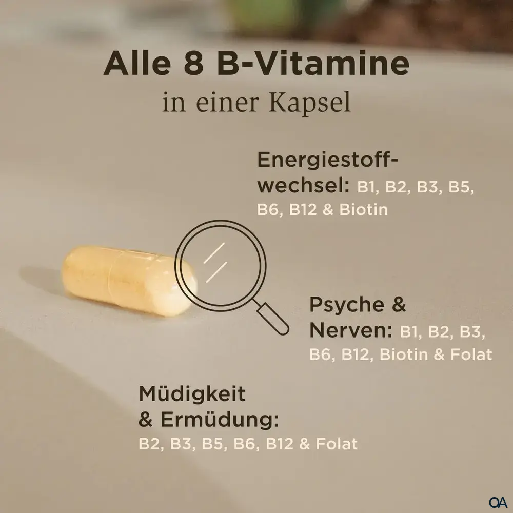 Solgar® Vitamin B-Komplex mit Cholin & Inositol Kapseln