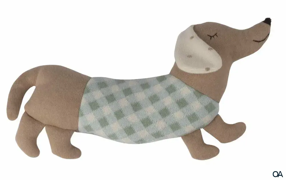 Sänger Kirschkernkissen Hund Bo grün