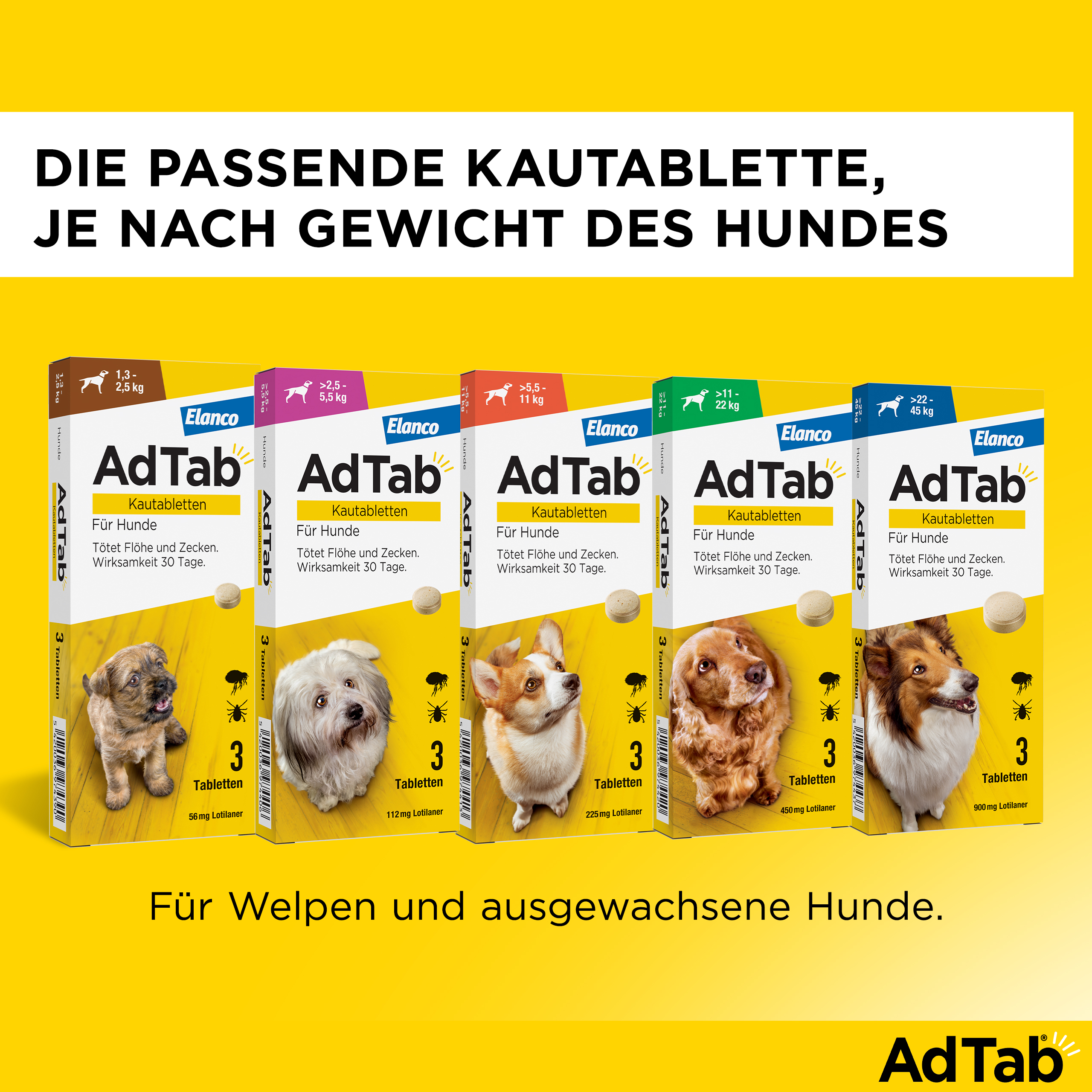 AdTab Kautabletten für Hunde über 11 bis 22 kg gegen Zecken und Flöhe